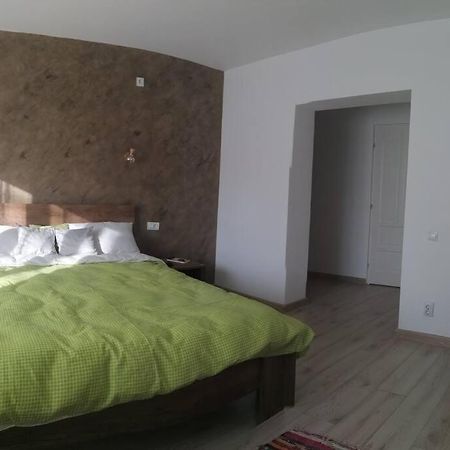 Casa Cu Trandafiri Villa Baia Mare Dış mekan fotoğraf