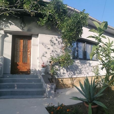 Casa Cu Trandafiri Villa Baia Mare Dış mekan fotoğraf