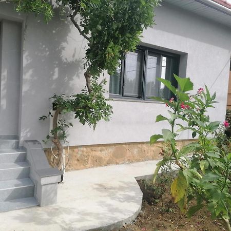 Casa Cu Trandafiri Villa Baia Mare Oda fotoğraf