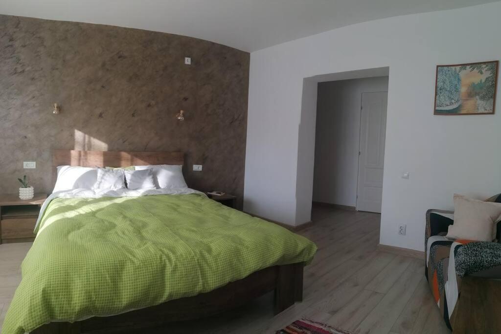 Casa Cu Trandafiri Villa Baia Mare Dış mekan fotoğraf