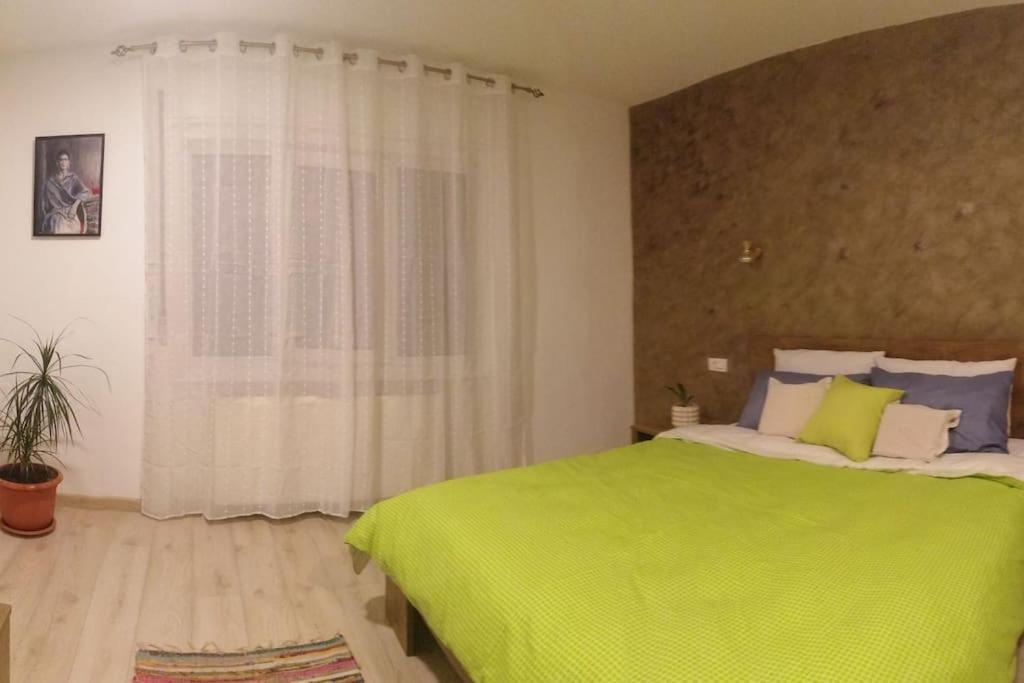 Casa Cu Trandafiri Villa Baia Mare Dış mekan fotoğraf
