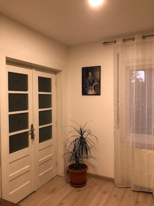 Casa Cu Trandafiri Villa Baia Mare Dış mekan fotoğraf