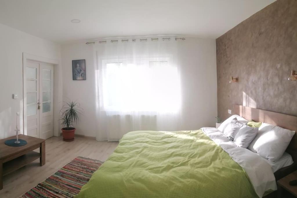 Casa Cu Trandafiri Villa Baia Mare Dış mekan fotoğraf