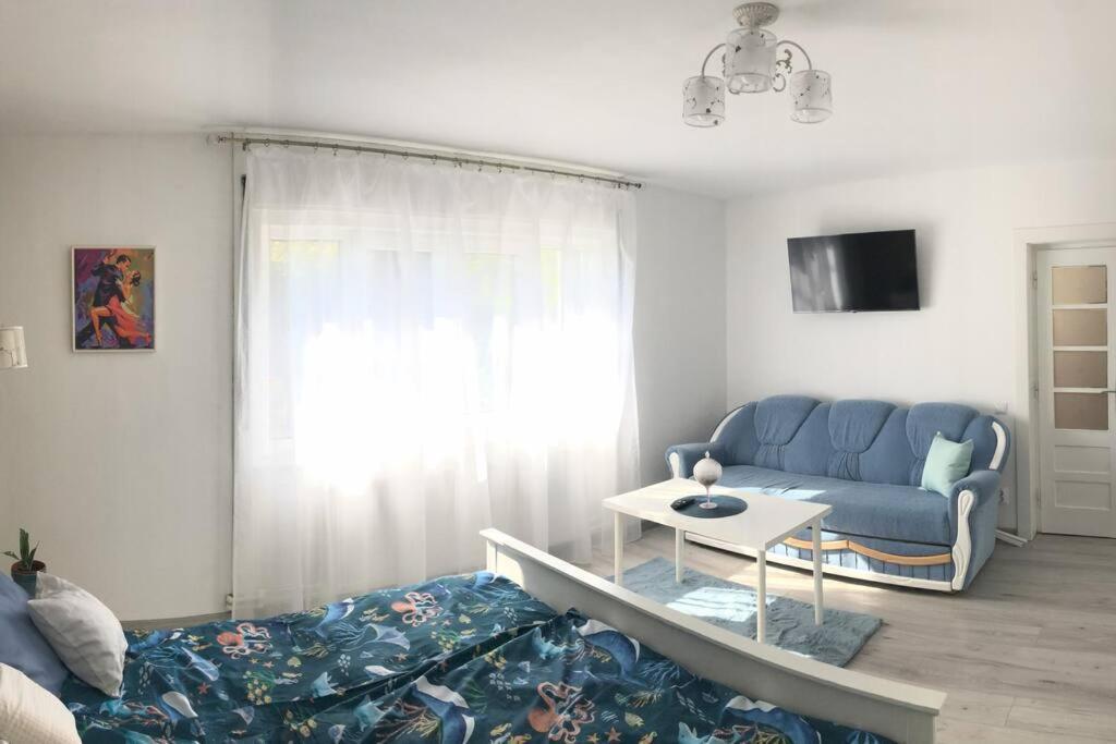 Casa Cu Trandafiri Villa Baia Mare Dış mekan fotoğraf