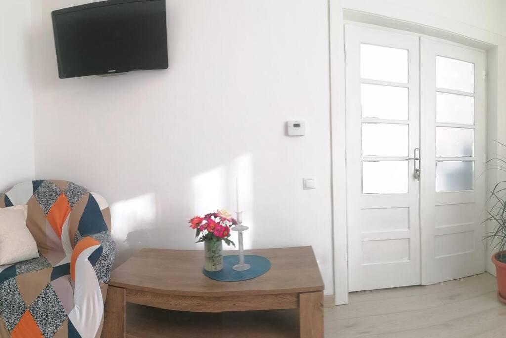 Casa Cu Trandafiri Villa Baia Mare Dış mekan fotoğraf