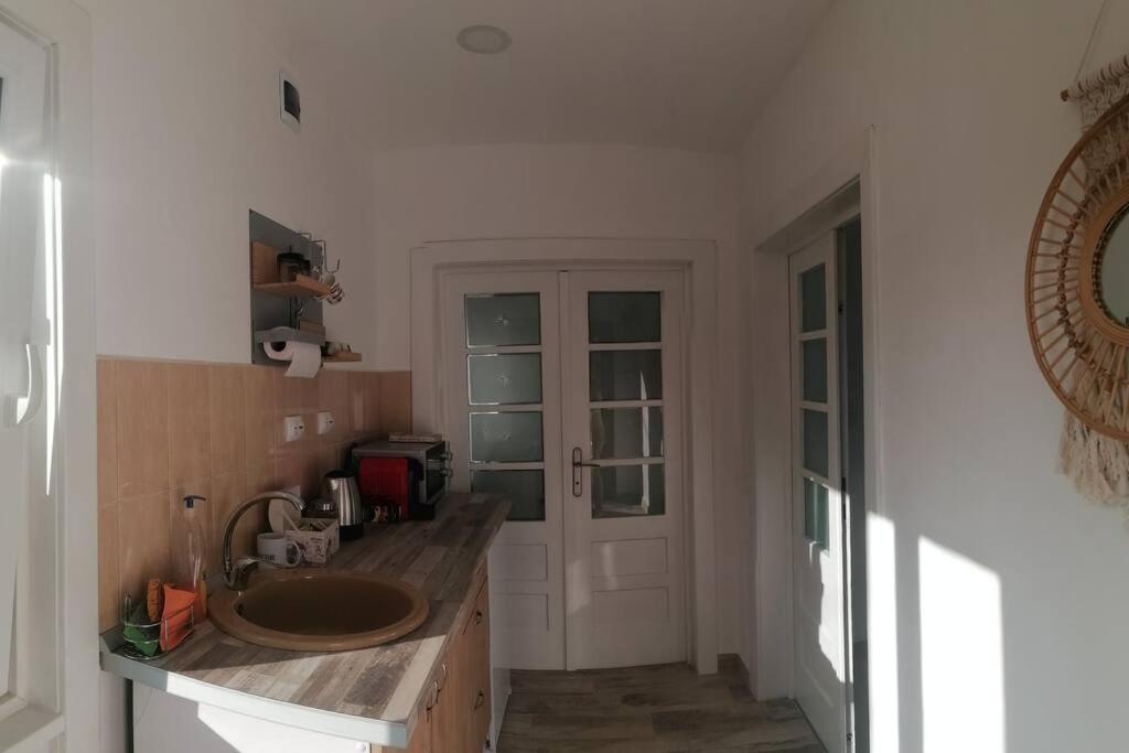 Casa Cu Trandafiri Villa Baia Mare Dış mekan fotoğraf