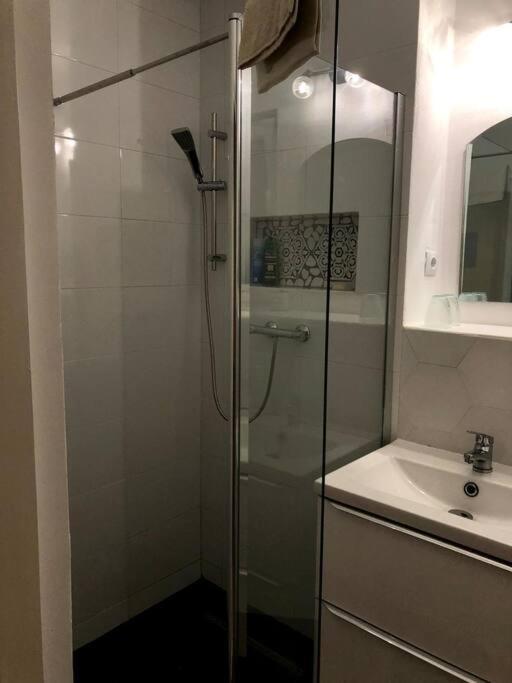 Casa Cu Trandafiri Villa Baia Mare Dış mekan fotoğraf
