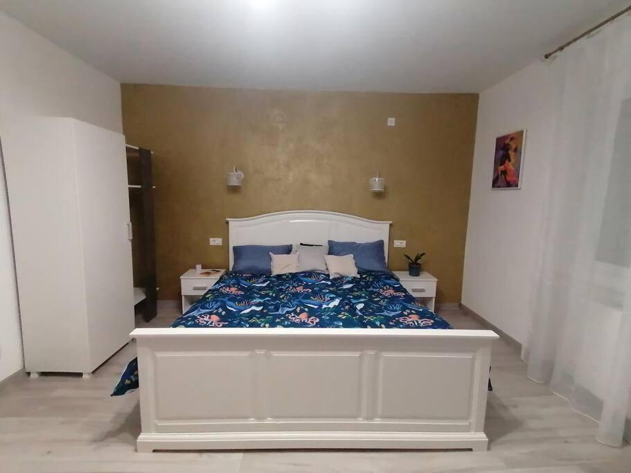 Casa Cu Trandafiri Villa Baia Mare Dış mekan fotoğraf