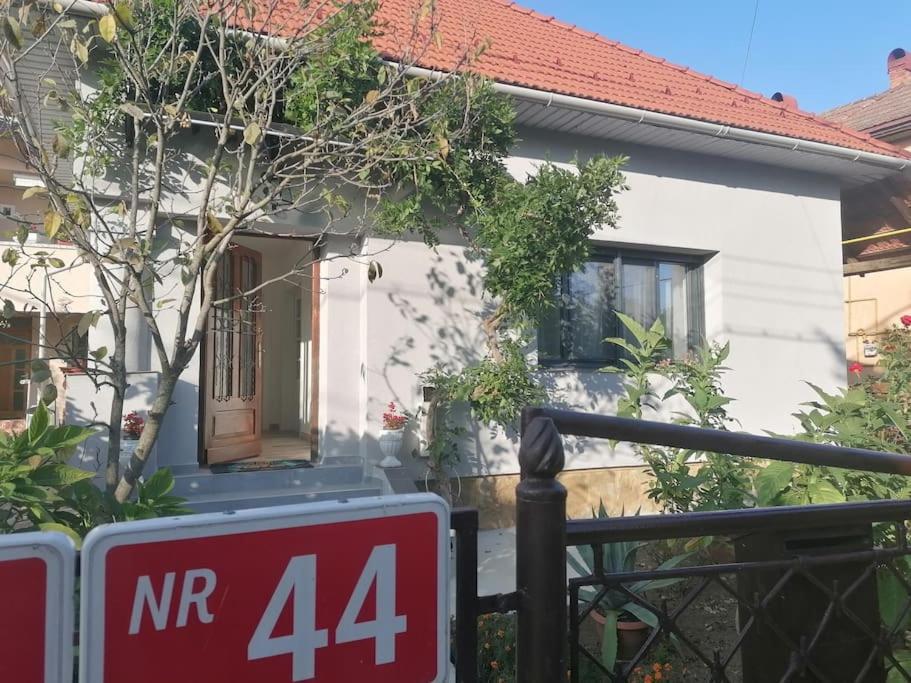 Casa Cu Trandafiri Villa Baia Mare Dış mekan fotoğraf