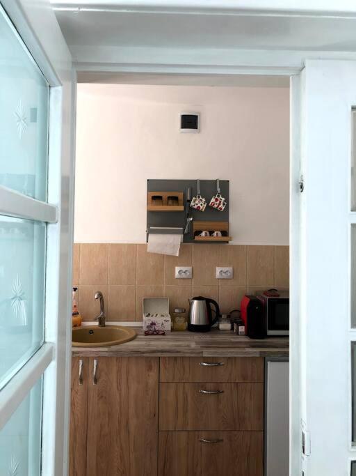 Casa Cu Trandafiri Villa Baia Mare Dış mekan fotoğraf