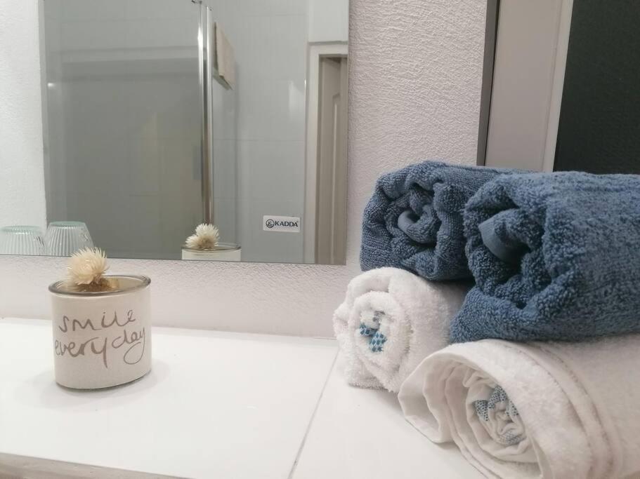 Casa Cu Trandafiri Villa Baia Mare Dış mekan fotoğraf