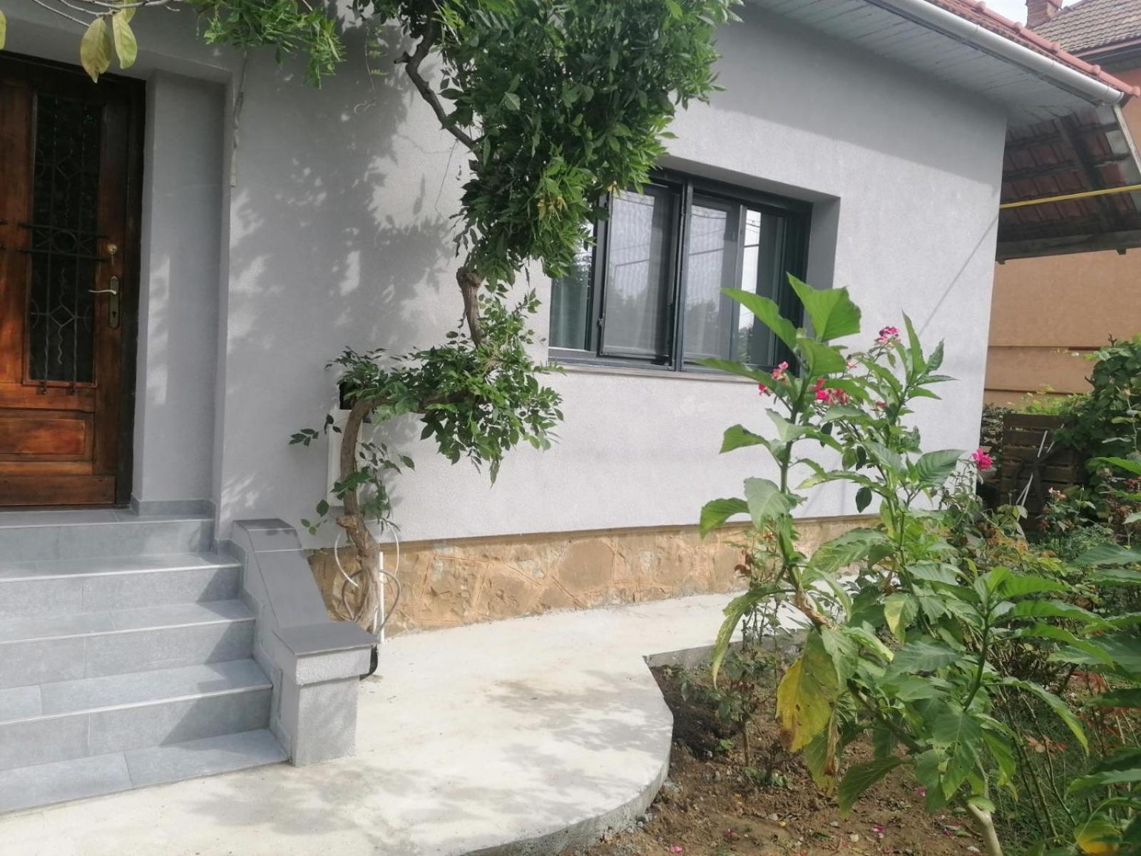 Casa Cu Trandafiri Villa Baia Mare Oda fotoğraf